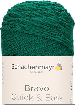 Schachenmayr Bravo Quick & Easy gras (08246)