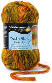 Schachenmayr Wash+Filz-it! multicolor curry multicolor (00255)