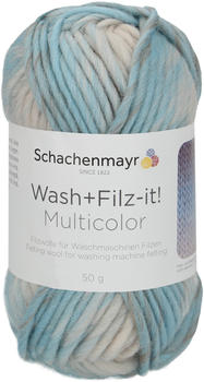 Schachenmayr Wash+Filz-it! multicolor sand dune (00260)