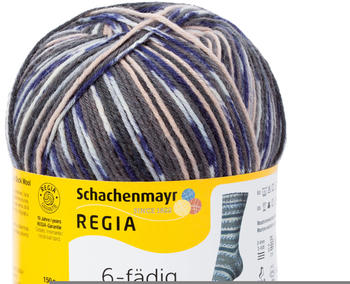 Schachenmayr Regia 6-fädig Color 150 g 05858 irland grau