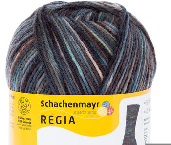 Schachenmayr Regia 6-fädig Color 150 g 06989 muse