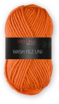 Pro Lana Wash Filz Uni 127