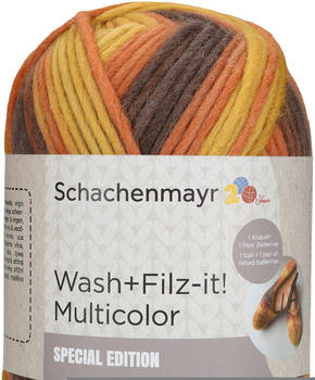 Schachenmayr Wash+Filz-it! Multicolor 200 g amber