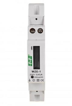 F&F WZE-1