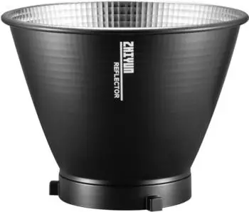 Zhiyun Molus B300