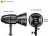 Walimex pro Newcomer 100 II Set Double