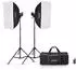 Godox MS300V-F