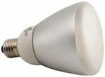 B.I.G. Reflektor-Tageslichtlampe (20 W)