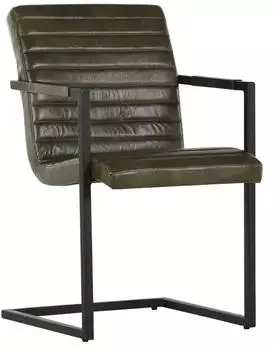 Möbel Kraft Freischwinger grün 52x87x64