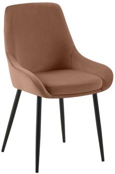 CLP Esszimmerstuhl Elmira Samt schwarz braun (324098)