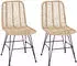 vidaXL Esszimmerstuhl 2 Stk. Rattan und Eisen, Natur (42011550)