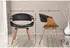 CLP Foley 2er Set Esszimmerstuhl Kunstleder, Holzgestell eiche/schwarz (325270)