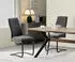 xonox.home Tina Schwingstuhl 2er-Set Webstoff Anthrazit, 43x98x59cm
