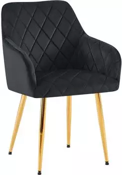 CLP Monett Esszimmerstuhl Samt schwarz, Metallgestell gold (324397)
