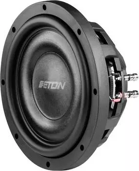 Eton MW 10