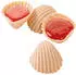 COOL Schleckmuscheln 100 Stk.