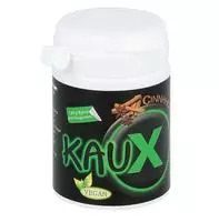 KAUX Zahnpflegekaugummi Cinnamon/zimt mi 40 St