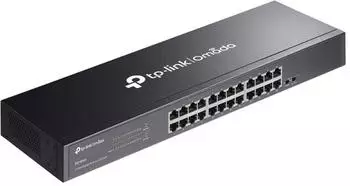 TP-Link Omada DS1024G