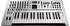 Roland GAIA 2