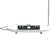 Moog EW-THEREMINI-01-06, Moog Theremini Analoger Synthesizer