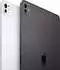 Apple iPad Pro 11 256GB WiFi schwarz 2024