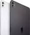 Apple iPad Pro 13 256GB 5G schwarz 2024