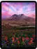 Apple iPad Pro 11 256GB WiFi Space Schwarz 2025