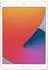 Apple iPad 10.2