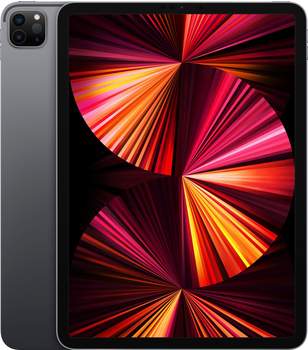 Apple iPad Pro 11 1TB WiFi spacegrau (2021)