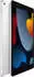 Apple iPad 256GB WiFi + 4G silber (2021)