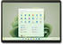 Microsoft Surface Pro 9 i5 8GB/256GB grün