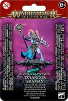 Games Workshop Age of Sigmar - Disciples of Tzeentch - Tzaangor Shaman