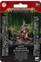 Games Workshop Warhammer Age of Sigmar - Skaven