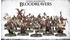 Games Workshop Warhammer Age of Sigmar - Blades of Khorne