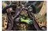 Joy Toy Mortarion Daemon Primarch of Nurgle Figur 1:18 (JT02564)