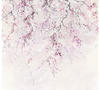 Komar Vliestapete »Kirschblüten«, 300x280 cm (Breite x Höhe)