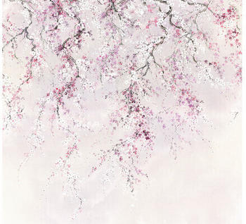 Komar Ink Kirschblüten 6-tlg. 300 x 280 cm