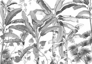 Komar Ink Croissances Monochrome (8 -tlg., 400 x 280 cm)