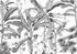 Komar Ink Croissances Monochrome (8 -tlg., 400 x 280 cm)