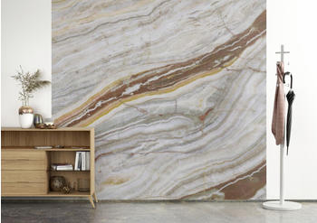 Rasch Vlies-Tapete Braun-Braungrau 300 x 318 cm (364613)