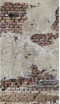 Livingwalls The Wall II Industrial Stein Putz Grau 3-tlg. 159 x 280 cm (39235-1)