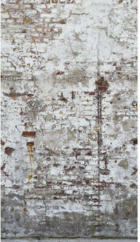 Livingwalls The Wall II Vintage Steinwand Beige Grau 3-tlg. 159 x 280 cm (39238-1)