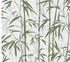 Livingwalls Michalsky 4 - Change is good Bambus grün creme (37989-3)