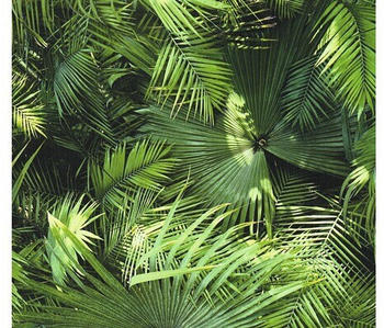 Livingwalls Pop.up Panel Palm-Dschungel (36844-1)