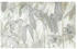 Komar Infinity 2 Linierte Lilien (400 x 250 cm)