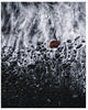 Komar Vliestapete »Red Rock«, 200x250 cm (Breite x Höhe), Vliestapete, 100 cm
