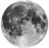 Komar Dots Fototapete rund Moon