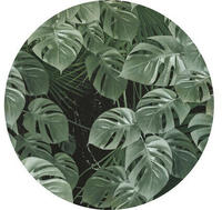 Komar Vliestapete "Vlies selbstklebend - Novel Monstera - Gr&ouml;&szlig;e 125 x 125 cm"