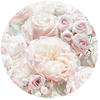 Komar Fototapete »Pink and Cream Roses«, 125x125 cm (Breite x Höhe), rund und