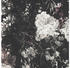 Livingwalls Mata Hari Vintage Floral schwarz (38095-2)